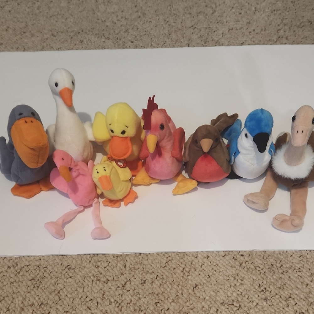 Ty Beanie Baby Bird Lot, Scoop, Gracie, Quackers, Strut, Early, Rocket, Stretch